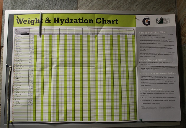 Weight Chart