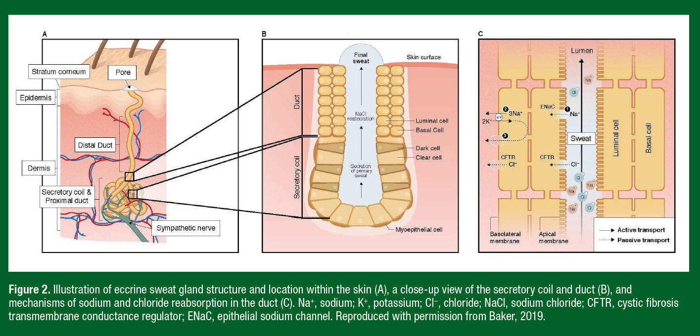 226 figure 2