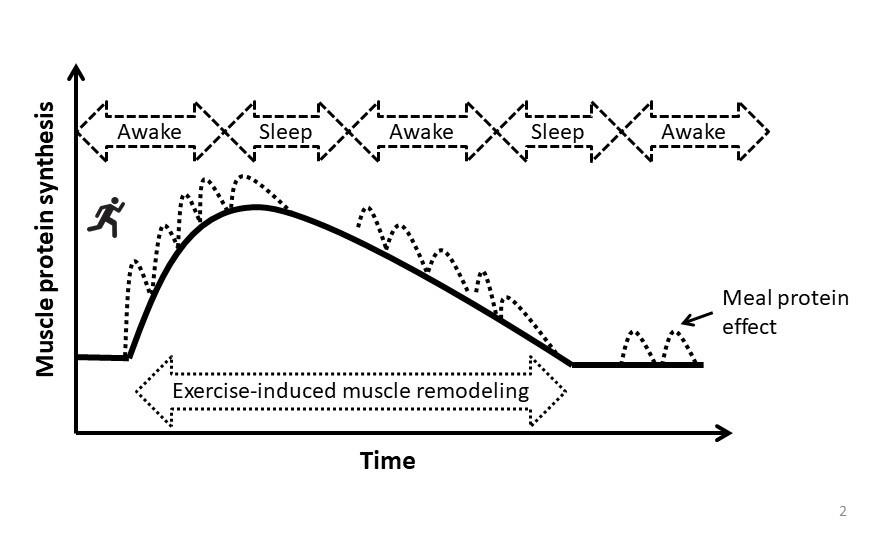 Figure 2 219 Figure 2 219