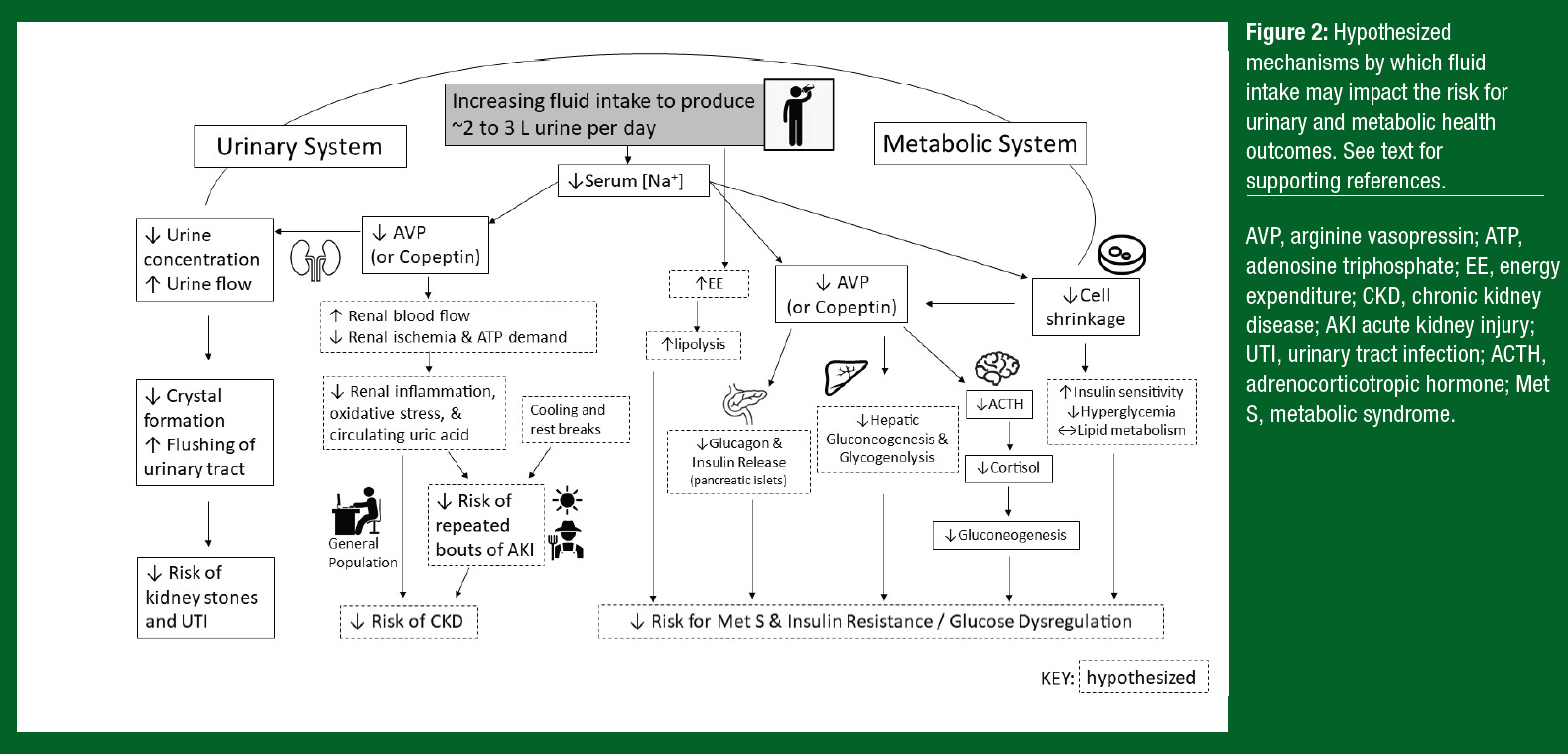 figure 2 223