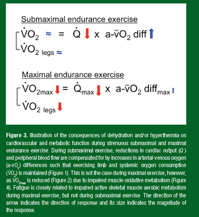 Figure 3 - Alonso