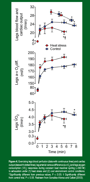 Figure 4 - Alonso