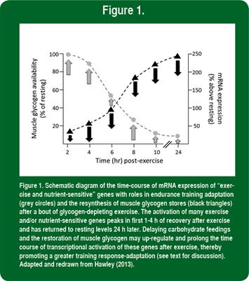 HawleyGraph2