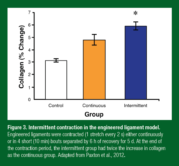 SSE187-figure3 SSE187-figure3