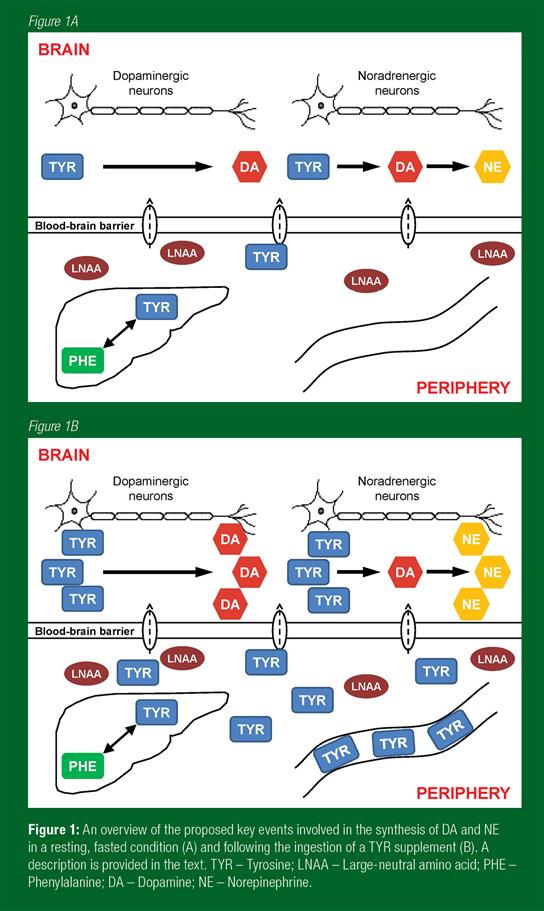 Figure 1 SSE#157