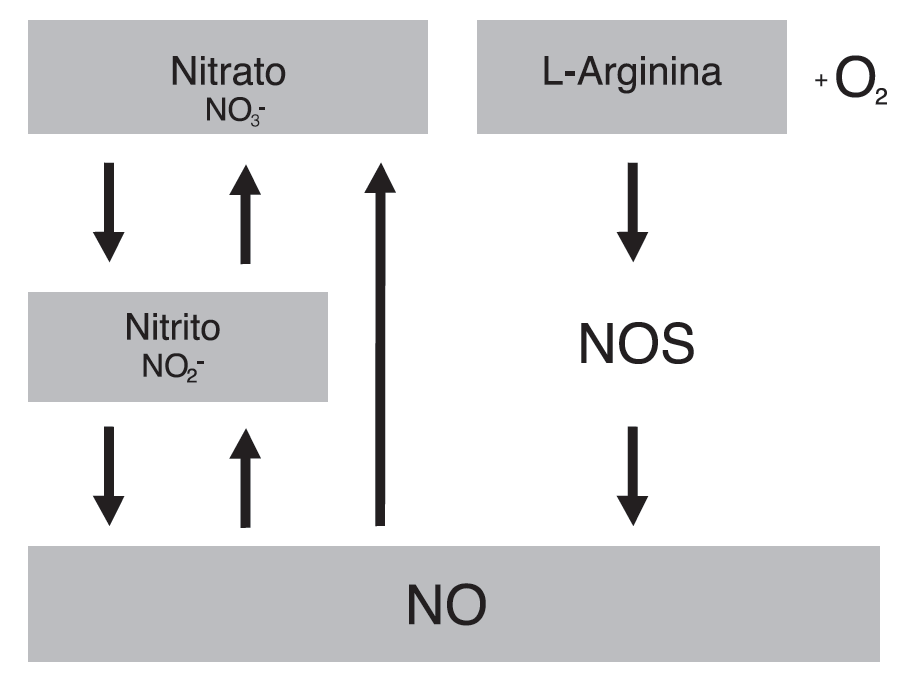 110 Fig 1