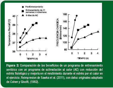 Figura 2 Figura 2