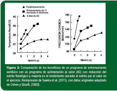 Figura 2