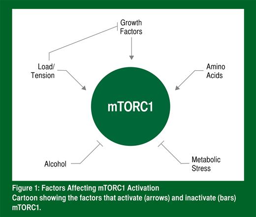 Baar-Heaton_SSE_Figure 1