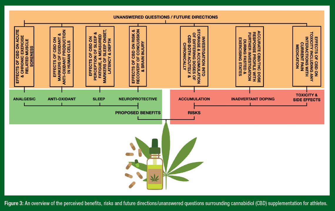 213_Figure 3