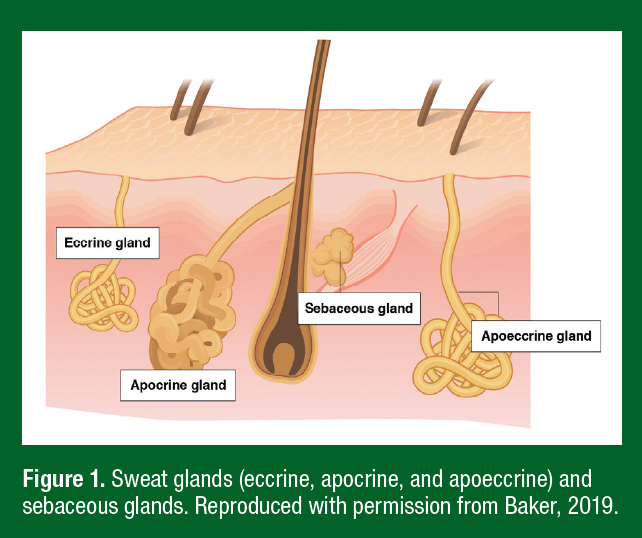 226 figure 1