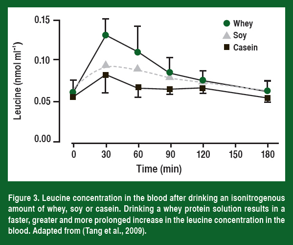 Fig-3-LeucineConcentration