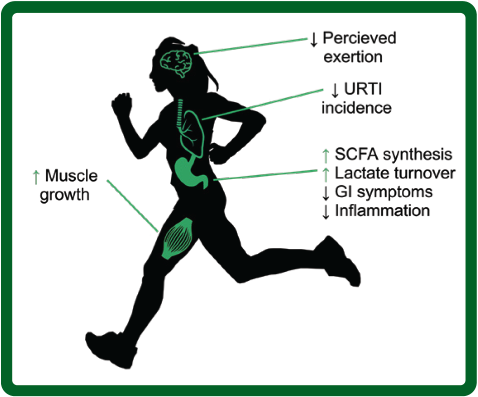 Figure 1 Paul Cotter SSE