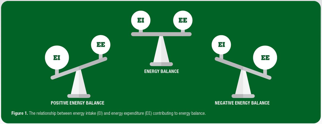 Figure 1 Figure 1