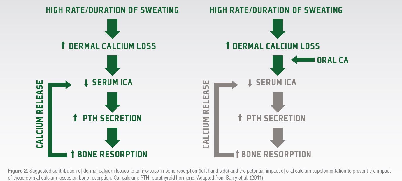 Figure 2 Figure 2