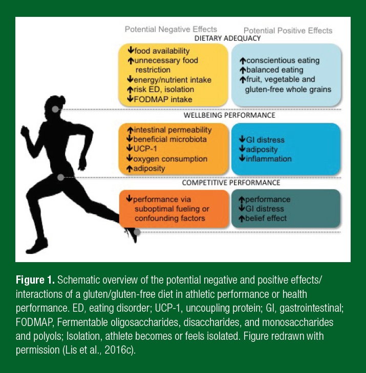 Lis_SSE_189_figure1