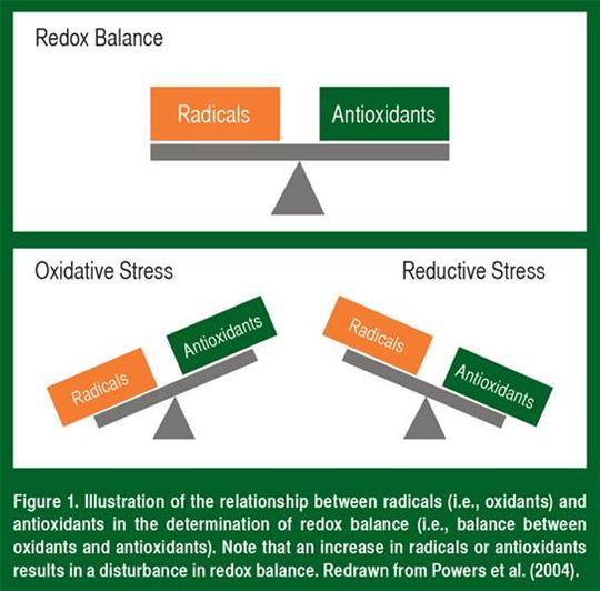 Powers figure 1