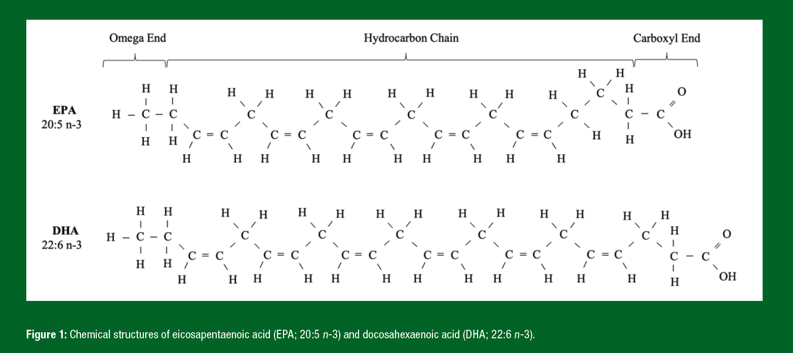 SSE 221 FIGURE 1