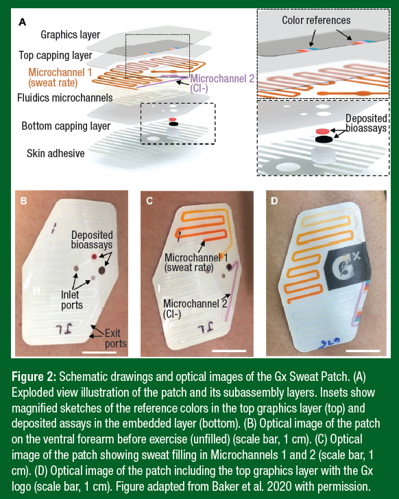 SSE 234 Figure 2