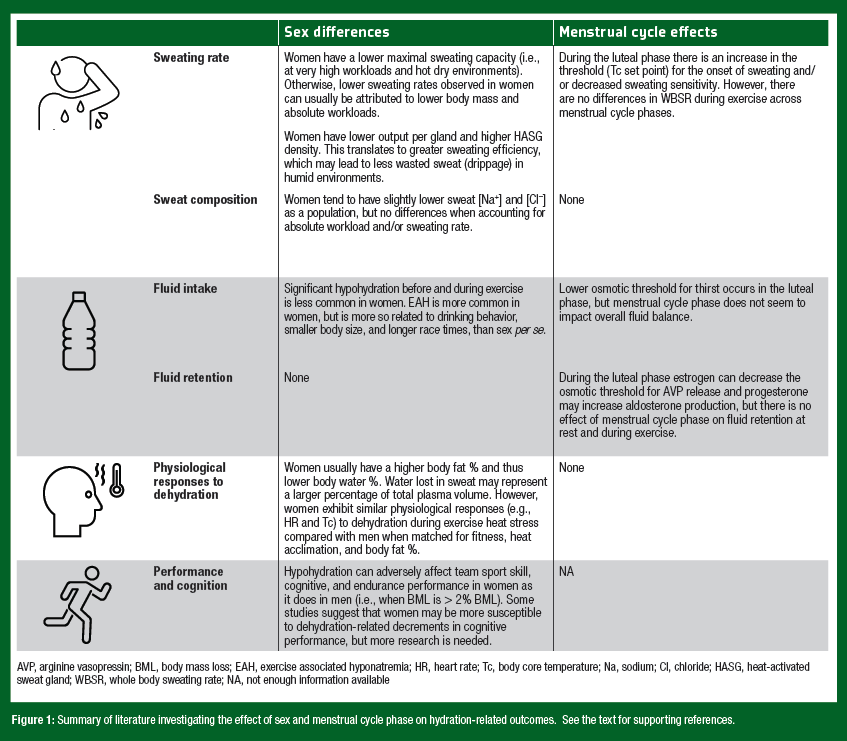 SSE 237 Figure 2