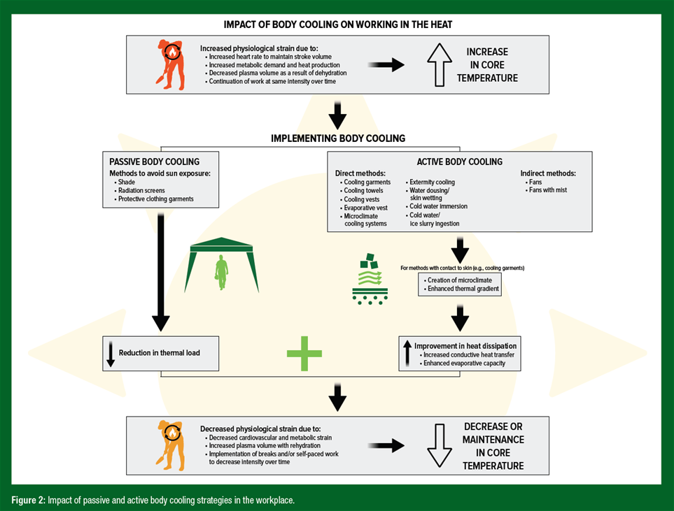 SSE 265 Figure 2
