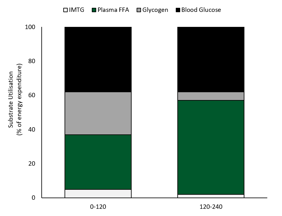 SSE205_fig2