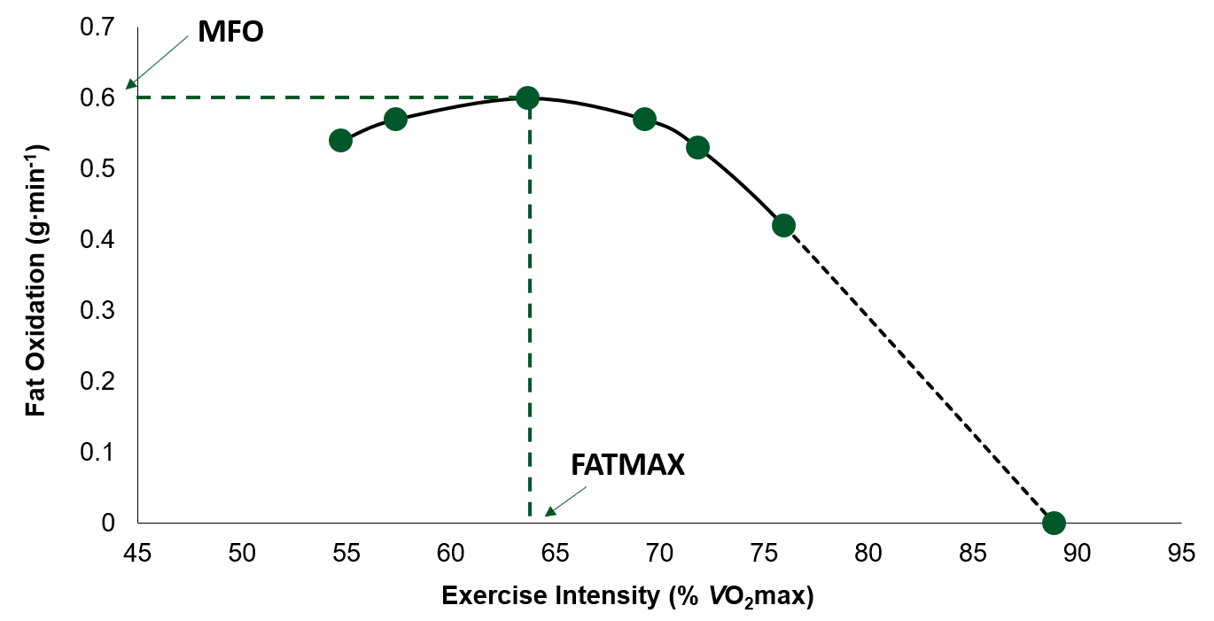 Enhanced lipid oxidation rate Enhanced lipid oxidation rate