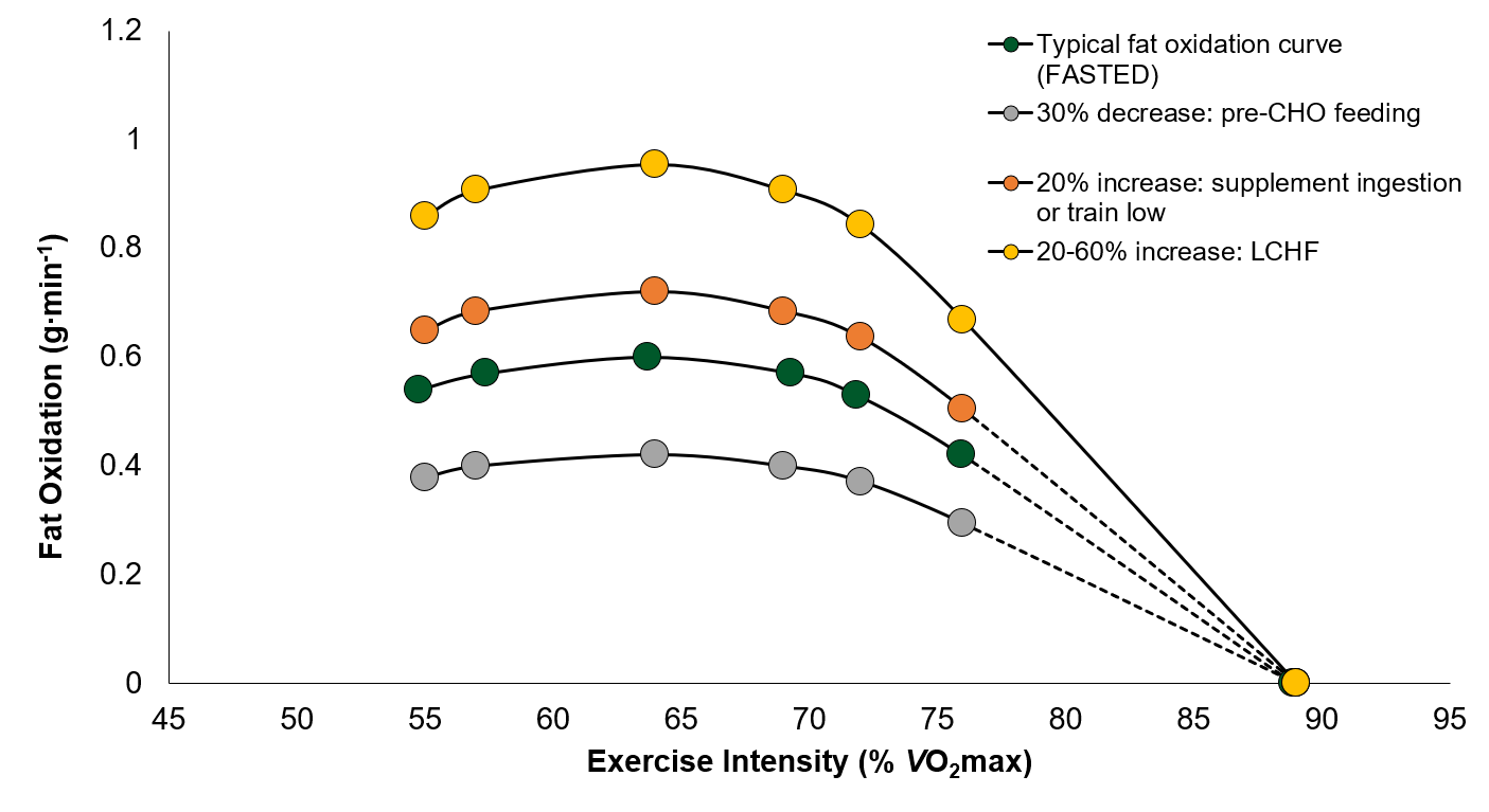 SSE206_fig2