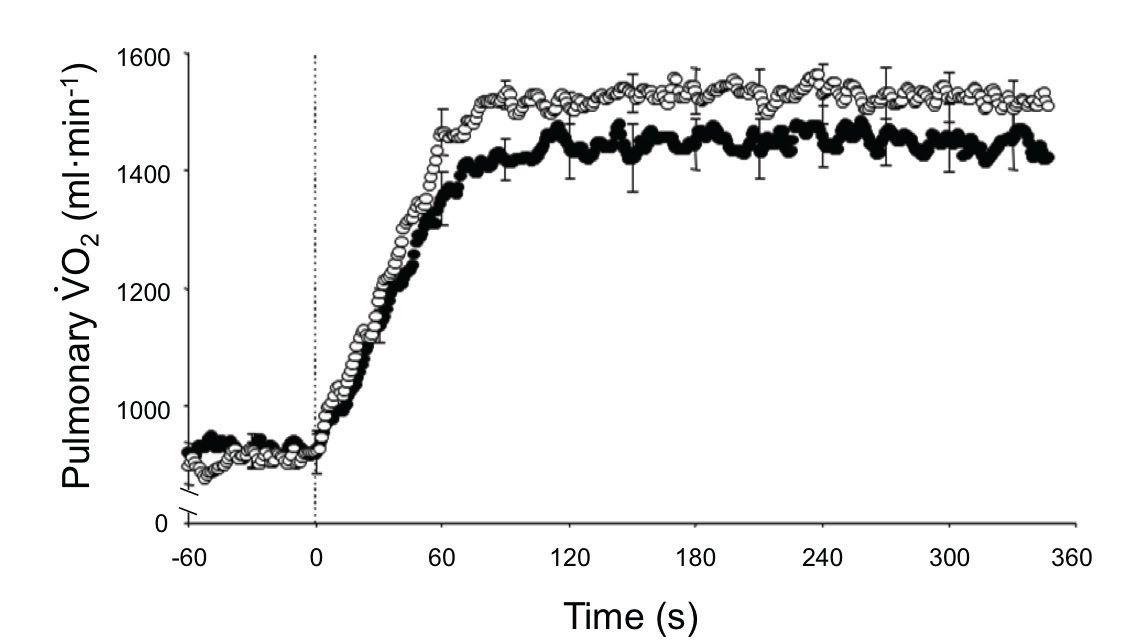 VO2 (ml/min/W)