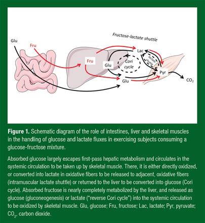 Tappy_SSE_174_figure1 Tappy_SSE_174_figure1