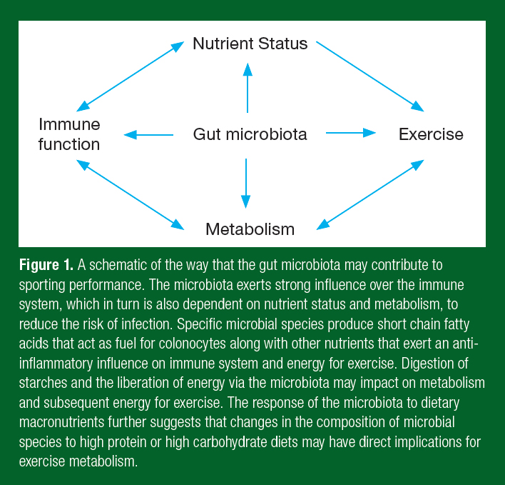 West_SSE_179_figure1