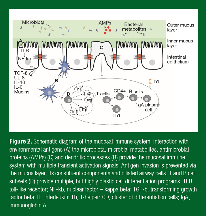 West_SSE_179_figure2