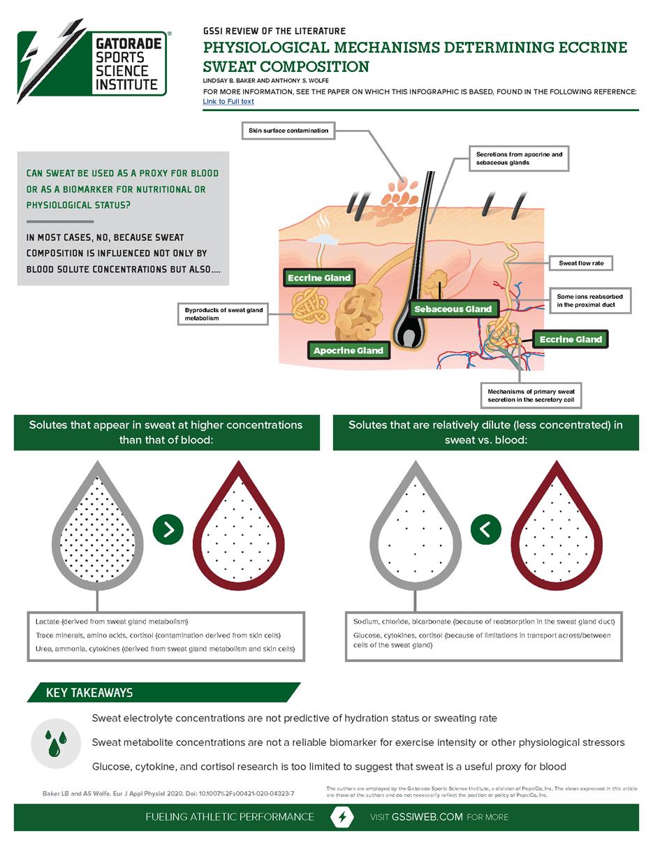 Eccrine sweat composition infographic - final