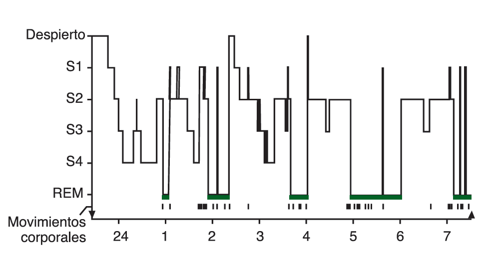 113 Fig 1