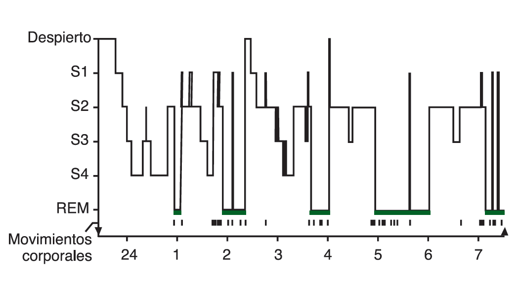 116 Fig 1