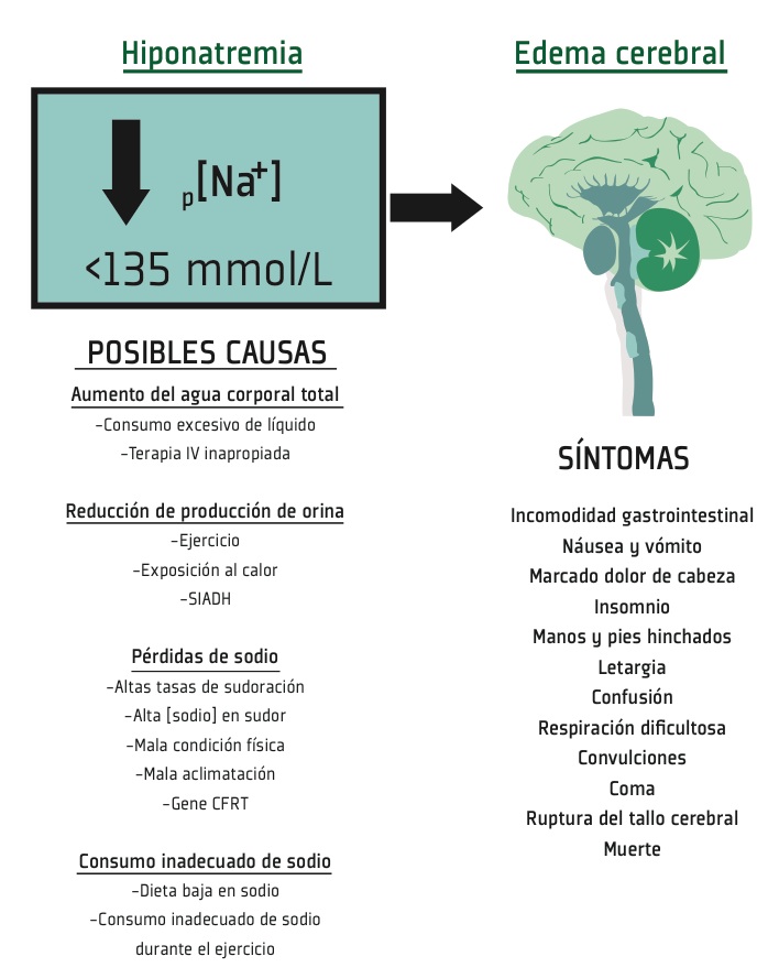SSE88 Fig 1
